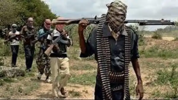 Boko Haram attacks village in Borno, kills 6 and abducts 13 others